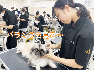 リボンの下地、ラッピングを強化！